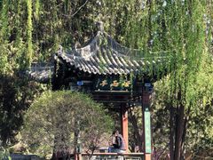 -晋祠公园