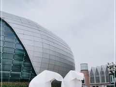 -青岛嘉年华主题乐园