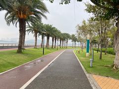 -野狸岛