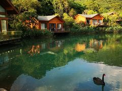 -杭州开元森泊度假乐园