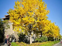 -东华门大街小区