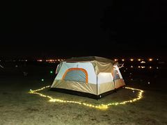 -春花秋色城市公园