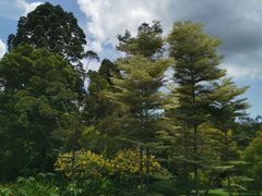 -新加坡总统府
