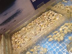 -亚马逊海鲜自助(梅溪湖步步高店)