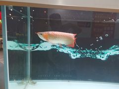 -凤凰路何眼镜香辣蟹(花果园店)