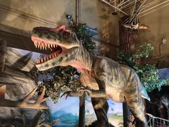 -国家自然博物馆