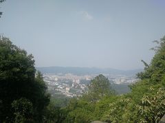 -火炉山森林公园