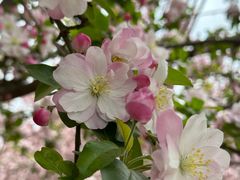 -元大都城垣遗址公园