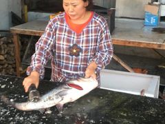 -庆岭迎宾园正宗活鱼馆