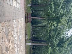 -东升八家郊野公园