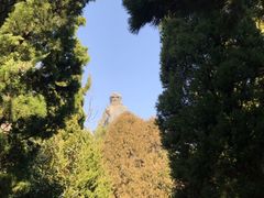 -青岛崂山太清宫