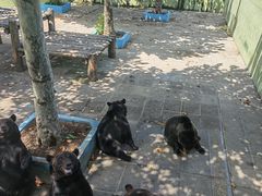 -西霞口神雕山野生动物世界