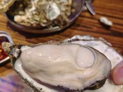 -蚝堡海鲜·威海菜·海肠捞饭·烧烤·亚洲吃蚝公司(幸福门店)