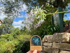 -怀托摩萤火虫洞