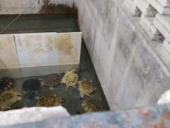 -龟场私房菜