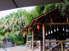 -雅安楠水阁温泉酒店