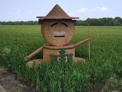 -嘉北郊野公园