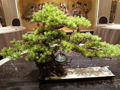 -玉满堂·湖北融合菜