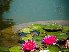 -国家植物园南园