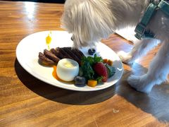 -百好乐宠物友好餐厅(朝外大街店)