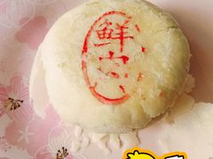 鲜肉月饼-北京稻香村(第十一店)