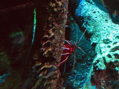 -沈阳海洋探索中心