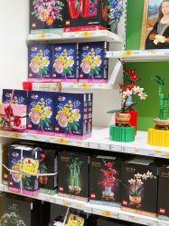 -LEGO(国贸商城店)