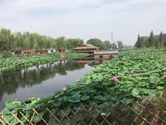 -白洋淀景区