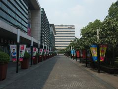 -江湾体育中心游泳馆