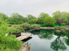 -百脉泉景区
