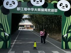 -都江堰中华大熊猫苑