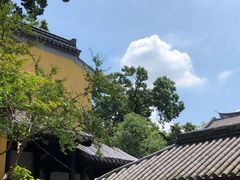 -灵谷景区