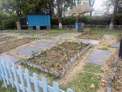 -成都安仁福朋喜来登酒店