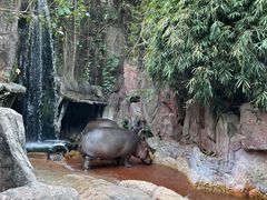 -长鹿旅游休博园