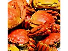 大闸蟹-新花城蟹粉馆(乌鲁木齐店)