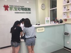 -悦宠凯宝动物医院·牙科·皮肤科(朝阳北路店)