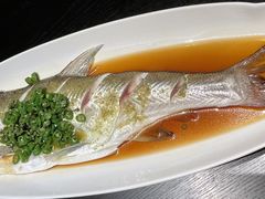 苏帮藤椒白鱼-苏帮袁·竹(北京坊店)