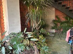 -J Create城市露营咖啡·简餐·宠物(上海动物园店)