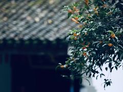 -宋宴(虎跑店)