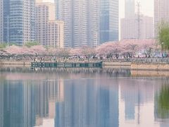 -西北湖绿化广场