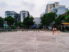-矿泉游泳场