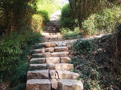 -徐家汇源景区-衡山公园