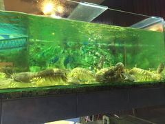 -真浪大家乐海鲜餐馆