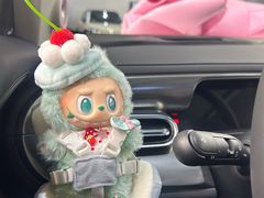 -上海浦东smart汽车全功能店(金桥店)