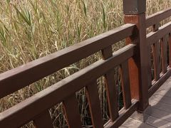 -万寿八仙宫