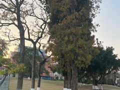 -广西壮族自治区药用植物园