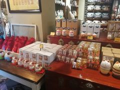 -猫咪博物馆(顶澳仔猫街店)