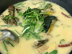-岩泊渡桂鱼楼活鱼馆