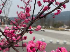 -七曲山风景区