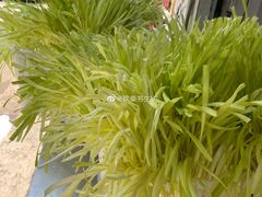 -尤素福东举院饺子馆